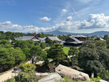 元離宮二条城に投稿された画像（2025/8/29）