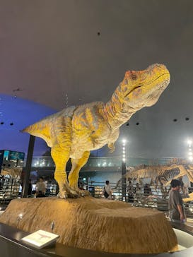 福井県立恐竜博物館に投稿された画像（2025/8/29）