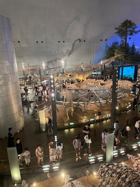 福井県立恐竜博物館に投稿された画像（2025/8/29）