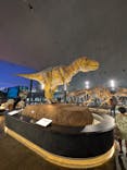 福井県立恐竜博物館に投稿された画像（2025/8/29）