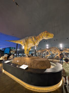 福井県立恐竜博物館に投稿された画像（2025/8/29）