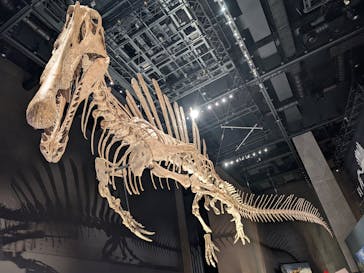 福井県立恐竜博物館に投稿された画像（2025/8/29）