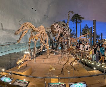 福井県立恐竜博物館に投稿された画像（2025/8/29）