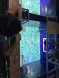 サンシャイン水族館に投稿された画像（2025/8/29）
