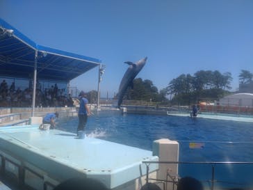 越前松島水族館に投稿された画像（2025/8/29）