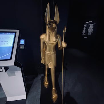 ACN ラムセス大王展 ファラオたちの黄金に投稿された画像（2025/8/29）