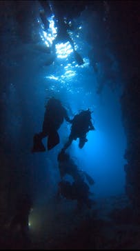 武藤潜水に投稿された画像（2025/8/29）