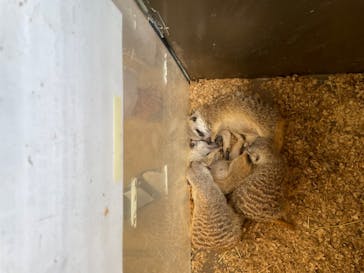 伊豆シャボテン動物公園に投稿された画像（2025/8/29）