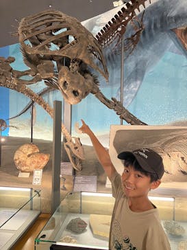 福井県立恐竜博物館に投稿された画像（2025/8/29）