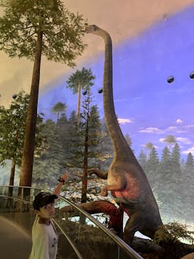 福井県立恐竜博物館に投稿された画像（2025/8/29）