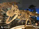 福井県立恐竜博物館に投稿された画像（2025/8/29）