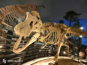 福井県立恐竜博物館に投稿された画像（2025/8/29）