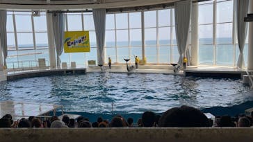 アクアワールド茨城県大洗水族館に投稿された画像（2025/8/29）