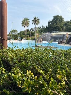 鈴鹿サーキットに投稿された画像（2025/8/29）