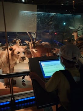 国立科学博物館に投稿された画像（2025/8/29）