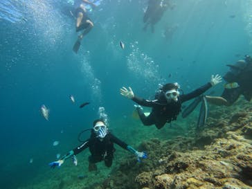 武藤潜水に投稿された画像（2025/8/29）