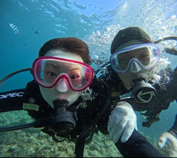 武藤潜水に投稿された画像（2025/8/29）