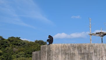 伊豆シャボテン動物公園に投稿された画像（2025/8/29）