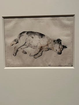 スウェーデン国立美術館　素描コレクション展―ルネサンスからバロックまでに投稿された画像（2025/8/29）