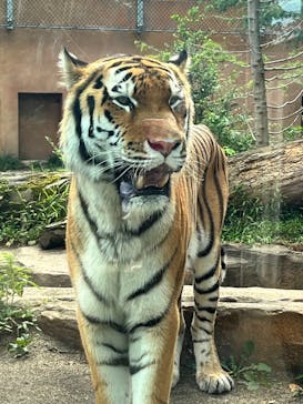 那須どうぶつ王国に投稿された画像（2025/8/29）