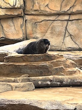 那須どうぶつ王国に投稿された画像（2025/8/29）