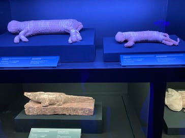 ACN ラムセス大王展 ファラオたちの黄金に投稿された画像（2025/8/29）