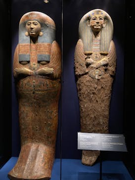 ACN ラムセス大王展 ファラオたちの黄金に投稿された画像（2025/8/29）