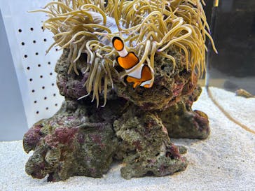 AOAO SAPPOROに投稿された画像（2025/8/29）