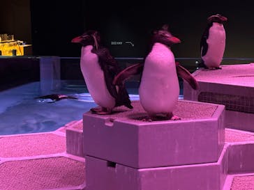 AOAO SAPPOROに投稿された画像（2025/8/29）