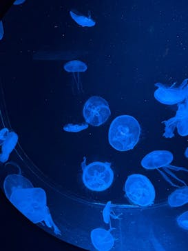 AOAO SAPPOROに投稿された画像（2025/8/29）