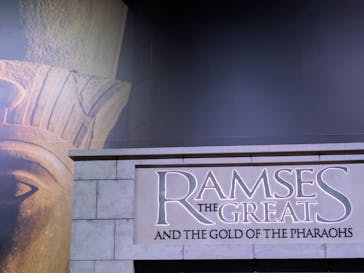 ACN ラムセス大王展 ファラオたちの黄金に投稿された画像（2025/8/29）