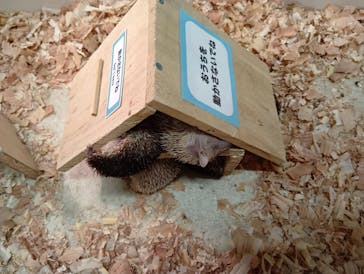 アニタッチ 東京ドームシティに投稿された画像（2025/8/29）