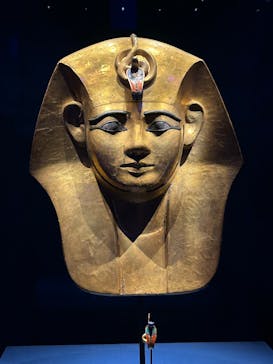 ACN ラムセス大王展 ファラオたちの黄金に投稿された画像（2025/8/29）