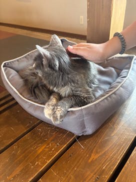 おさるランド＆アニタウン　日光さる軍団劇場に投稿された画像（2025/8/29）