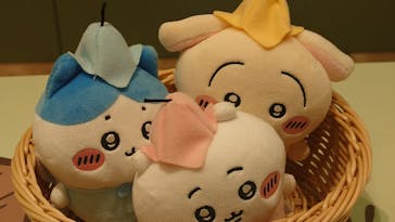 ちいかわパークに投稿された画像（2025/8/29）