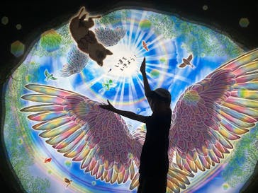 旅する光の切り絵展 ～くうそうって、まほうだよ～に投稿された画像（2025/8/29）