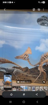 福井県立恐竜博物館に投稿された画像（2025/8/29）