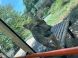 多摩動物公園に投稿された画像（2025/8/29）