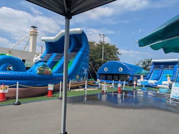 富士見市びん沼自然公園に投稿された画像（2025/8/29）