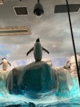 名古屋港水族館に投稿された画像（2025/8/29）