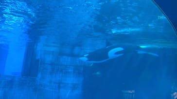 名古屋港水族館に投稿された画像（2025/8/29）