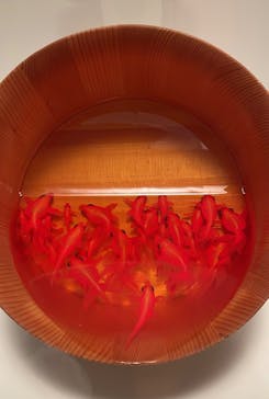 あべのハルカス美術館に投稿された画像（2025/8/29）