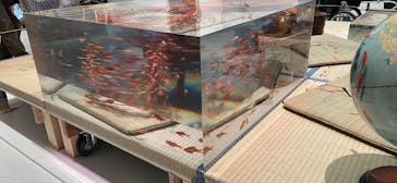 あべのハルカス美術館に投稿された画像（2025/8/29）