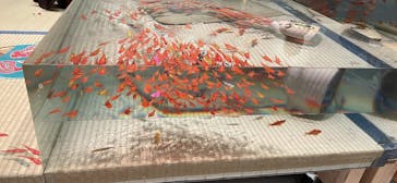 あべのハルカス美術館に投稿された画像（2025/8/29）