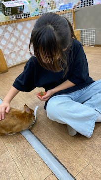 東京あそびマーレに投稿された画像（2025/8/29）