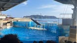 新江ノ島水族館に投稿された画像（2025/8/30）