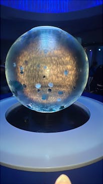 新江ノ島水族館に投稿された画像（2025/8/29）