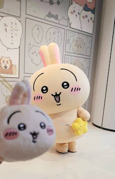 ちいかわパークに投稿された画像（2025/8/29）