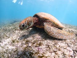 ちゃこたびに投稿された画像（2025/8/29）