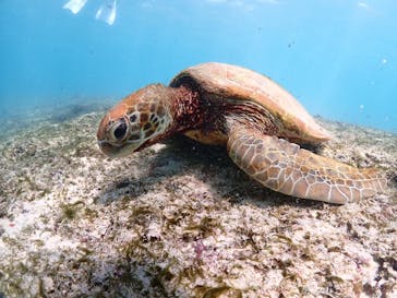 ちゃこたびに投稿された画像（2025/8/29）